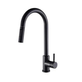 Midnight DualStream Single-Handle Pull-Out Kitchen Faucet with Hot/Cold Water Control