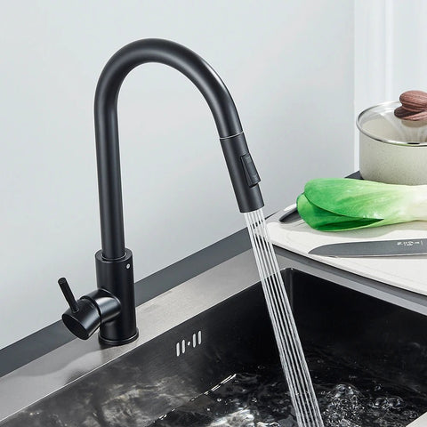 Midnight DualStream Single-Handle Pull-Out Kitchen Faucet with Hot/Cold Water Control