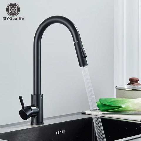 Midnight DualStream Single-Handle Pull-Out Kitchen Faucet with Hot/Cold Water Control