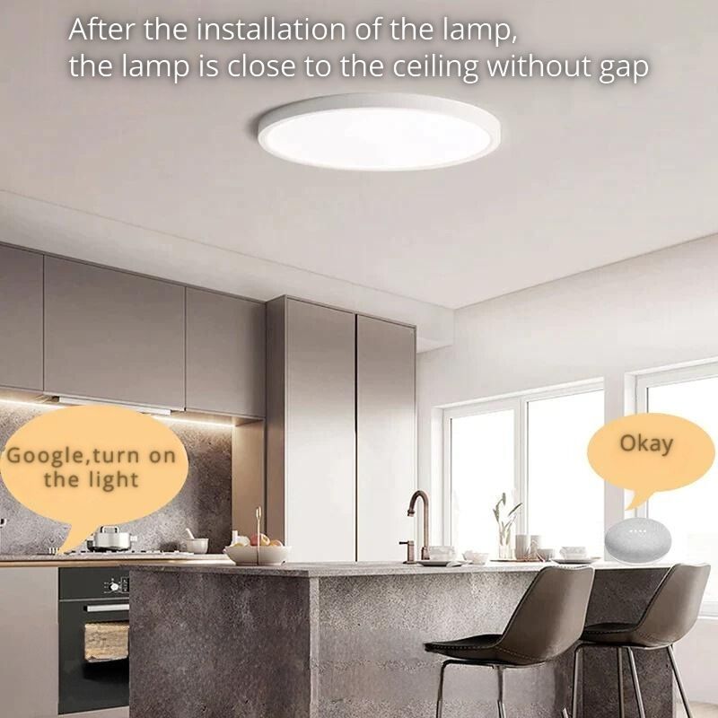 SmartLuxe 18W: Modern LED Ceiling Light