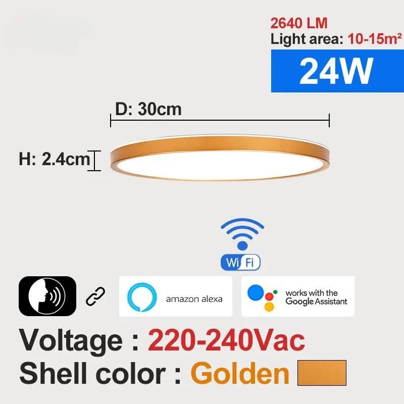 SmartLuxe 24W: Modern LED Ceiling Light