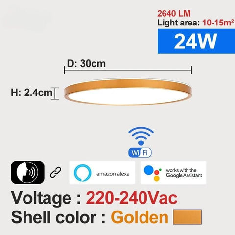 SmartLuxe 24W: Modern LED Ceiling Light